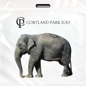 Full Color Take Home Custom Plastic Bag - 20"w x 20"h